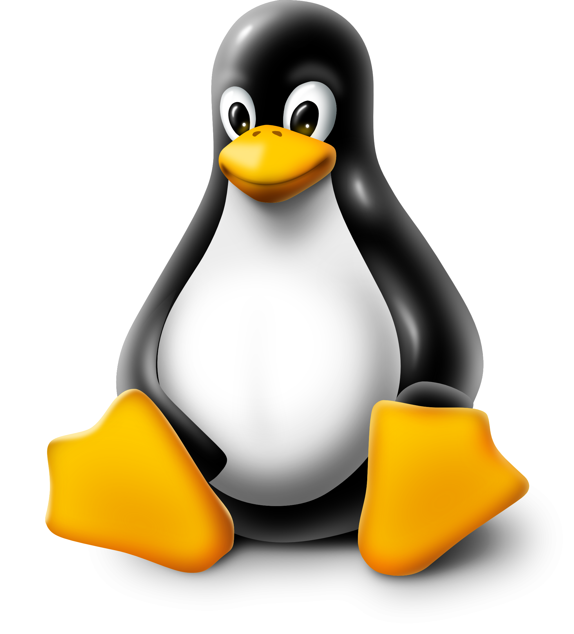 Linux OS